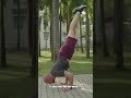 Calisthenics vs Gym: Which Is Better for You? (Honest Comparison)