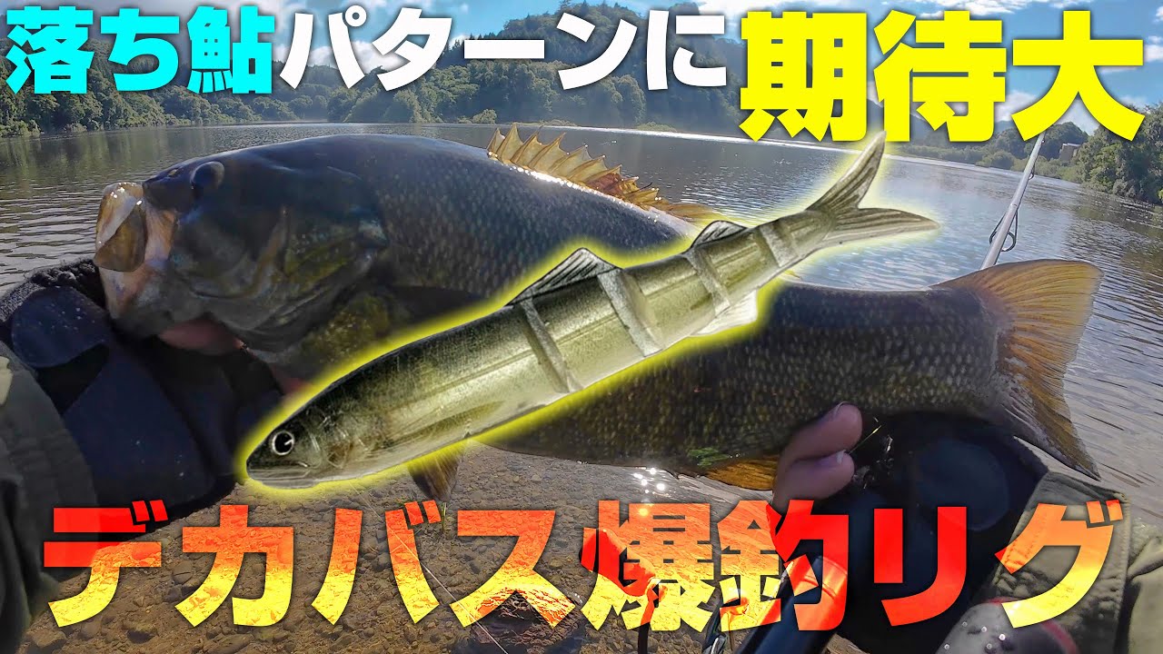 ジャバロンスーパーリアルとこのリグの組み合わせは相性抜群！落ち鮎パターン先取りでデカスモール爆釣でした【川スモール】