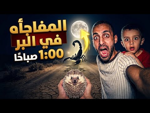 We found a strange creature in the dark of night... and the kid broke down in terror! 😱🦔