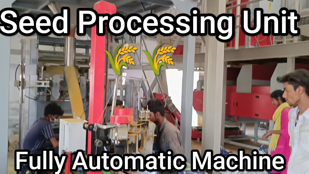 Seed Processing Plant 🌾 #rice #seeds #hyderabad #agriculture