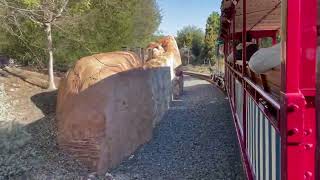 Disneyland Railroad 1/27/23 (feat. Fred and Ernest)