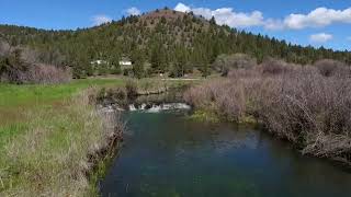 3990 NE McKay Creek Road video tour