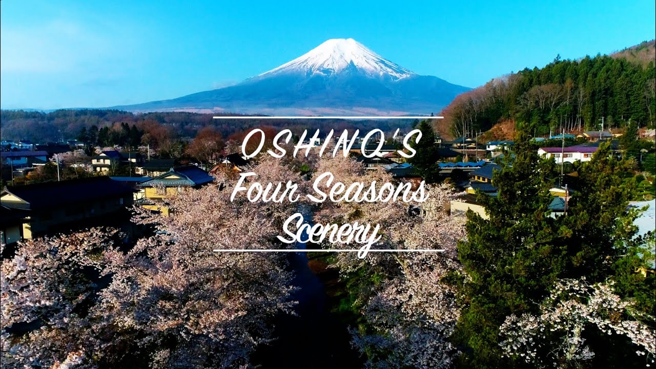忍野村公式】景色編 ～OSHINO'S Four Seasons Scenery～ - YouTube