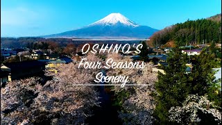 【忍野村公式】景色編 ～OSHINO'S Four Seasons Scenery～