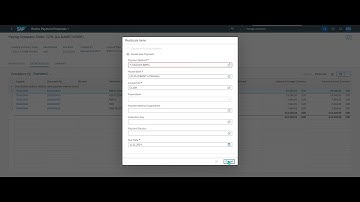 Manage Automatic Payments in SAP FIORI