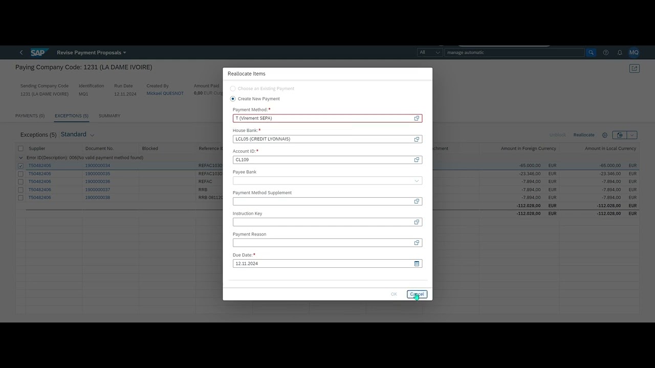 Manage Automatic Payments in SAP FIORI
