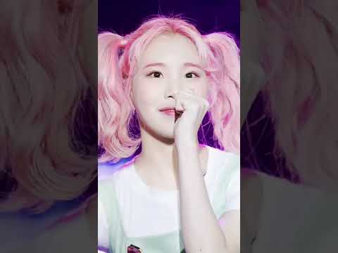 JooE Momoland evolution #shorts #short #jooe #momoland #viral #trending