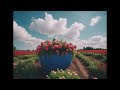 ミッドナイト・シーカー