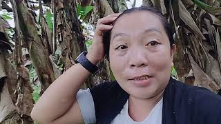 SAHOD REVEAL NA POD TA SALAMAT SA INYONG SUPORTA 