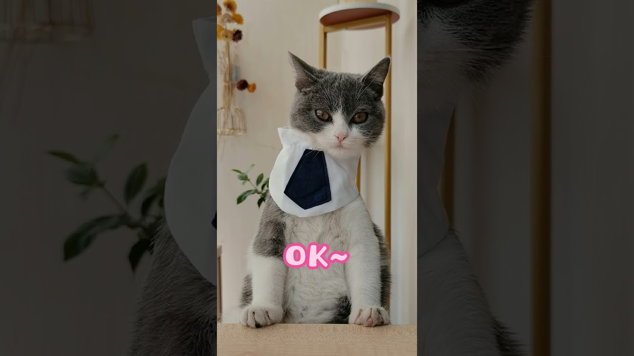 Cat Nail Tech Show Me Your Mixed Poly Gel Nails