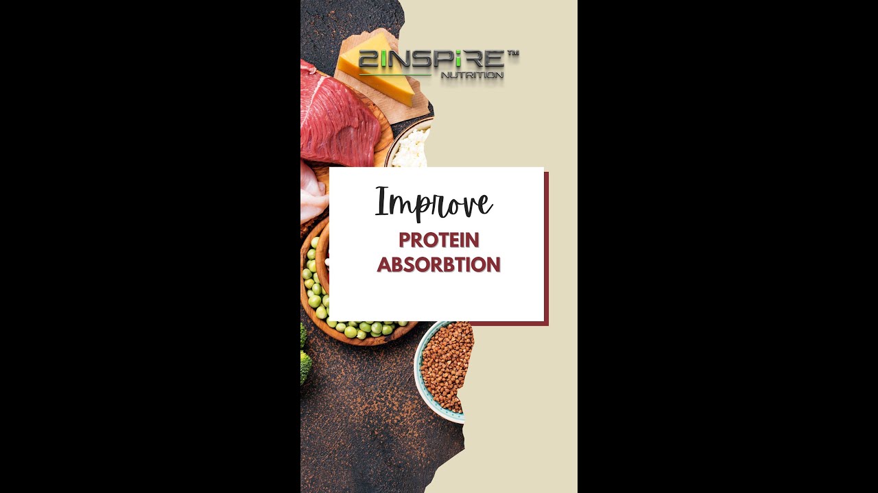 Improve Protien Absorbtion