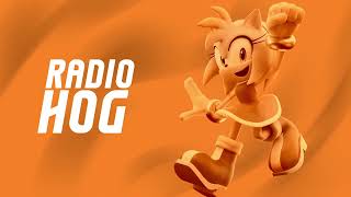 RadioHog 100 Subscriber Sonic Music Mix