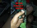 TVS ntorq bs6 ka head kaise fit Karen . TVS ntorq mein Cameroker kaise set karein #mototcycle