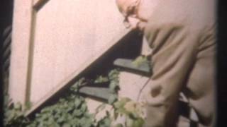 1948hazan01amusement.mov