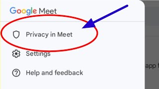 What is Privacy in Meet | Google Meet me Privacy in meet kya hota hai screenshot 4