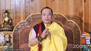 The Path to Enlightenment: Any Experience Can Show You the Way