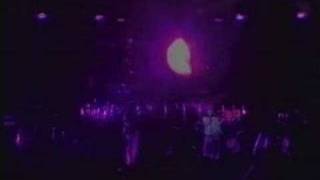 genesis- duchess & guide vocal