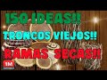 Tomé Troncos Secos y realicé todos estos Proyectos de Decoracion !150 Ideas de Bricolaje¡