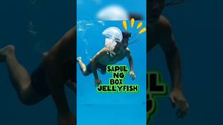 Download Lagu DOOS KWALEN #fypviralシ #fypyoutube #fypviral #jellyfish MP3