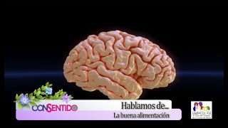 La buena alimentación y su efecto sobre la memoria y el aprendizaje