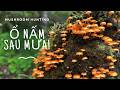 Hái Nấm Sau Mưa Phần 28 🍄 Lạc Vào Ổ Nấm Toàn Đặc Sản Trong Rừng Sâu! #háinấm #mushroom
