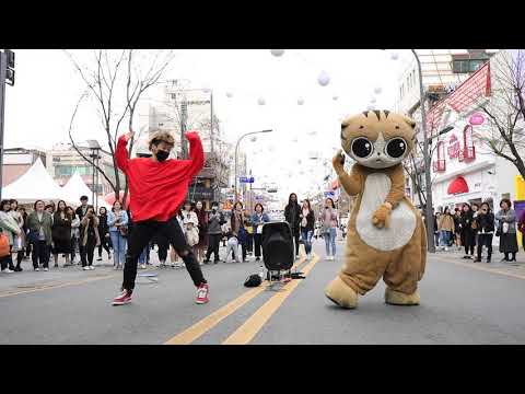 JHKTV] 신촌 명물고양이케이팝댄스 짠 짠  shin chon special <strong>cat</strong> k <strong>pop</strong> dance organize