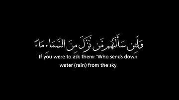 ولئن سألتهم من نزل من السماء ماء - القارئ عبد الرحمن مسعد / كروما شاشة سوداء - مكتوبه