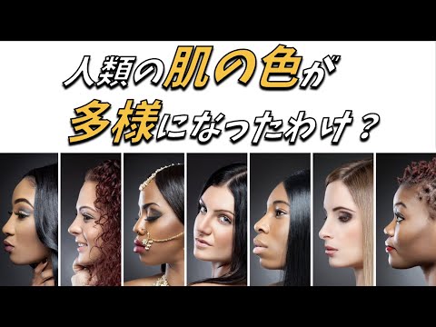 人類の肌の色はなぜこんなに多様に進化したのか？
