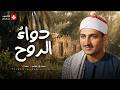 اترك الدنيا وراء ظهرك وأرح سمعك قليلا تلاوة هادئة للشيخ المنشاوي تريح قلبك تجويد بث مباشر mp3