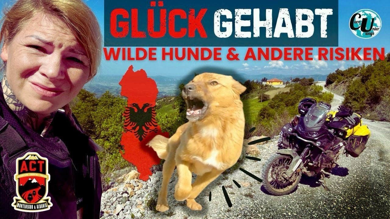 PANNE mit Africa Twin und wilde HUNDE 😳 | ACT Albanien