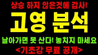 [고영 주가전망] 뇌수술 로봇 지니언트 크래니얼! 글로벌 수주 이어진다! 3박자를 고루 갖춘 종목 놓치면 땅을 칠겁니다 #고영 #고영주가#고영분석