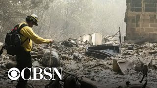 Celebrity Death toll likely to rise in devastating wildfires across the West Profile