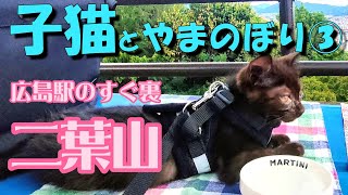 Cat and Mountain Climbing] I climbed Mount Futabayama, behind
