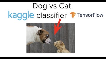 Kaggle Challenge, Data Augmentation and Dropouts