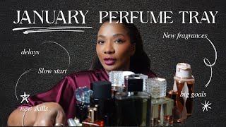 Januarys Perfume Tray And Life Update | Long Video @TheAmandaMarie