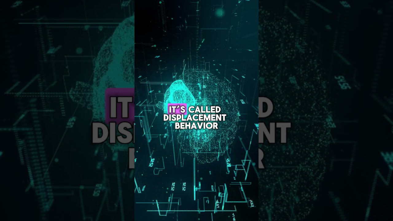 Why do we stare at the fridge? 