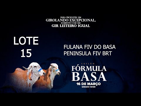 LOTE 15   BYRO 87   BRTG 1068