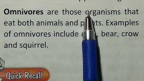 Class 5 Science, Chapter 1: The World of Animals (Part 3)