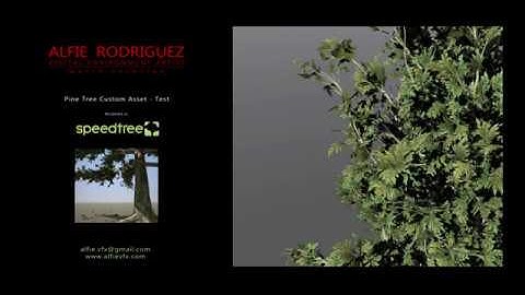 Custom Pine Tree Test - SpeedTree