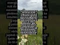 Ti Do Largohesh Nga çdo Gjë Që Nuk Të Rrit Om Marriedlife Soulmate Lovelife Angel Heal Soul Ti Do Largohesh Nga çdo Gjë Që Nuk Të Rrit Om Marriedlife Soulmate Lovelife Angel Heal Soul