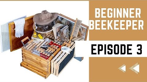 Beekeeping For Beginners Ep3: Essential Beekeeping Supplies for Beginners 🐝