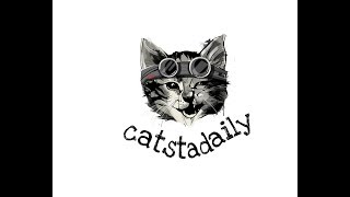Video Der Woche - Jeden Sonntag 2215 Uhr. - Catsta Daily.