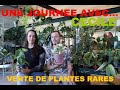 Une journee avec cecile  boutique physique de plantes rares