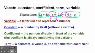 Vocab:  constant, coefficient, term, variable