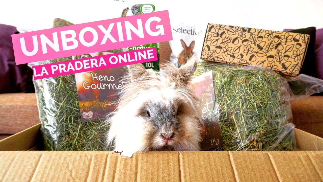 UNBOXING de La Pradera Online 📦❤️🐰