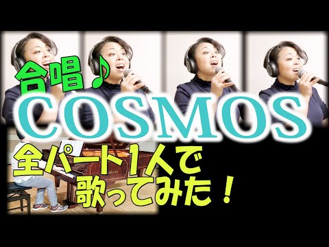【合唱】「COSMOS」全パート1人で歌ってみた【Lily】🍀