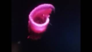 Why Is That Pink Thong Running So Fast