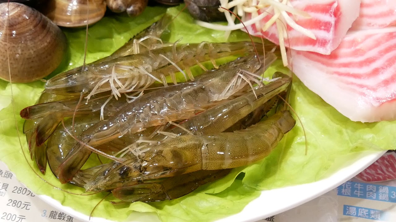 台中 大甲 鍋全日式涮涮鍋 大甲總店 大甲最強最好吃涮涮鍋活跳跳蝦子新鮮美味份量大又超值 Mika出走美食日誌