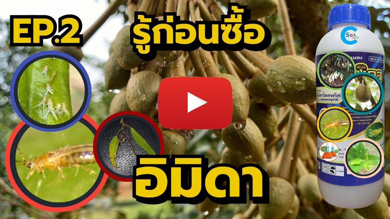 EP2.[รู้ก่อนซื้อเคมีเกษตร]ชื่อสามัญ..อิมิดาคลอพริดSL เพลี้ยไฟ เพลี้ยไก่แจ้ เพลี้ยกระโดด สารพัดเพลี้ย