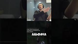 ОДИЧАВШАЯ СОБАКА! #arthas #папич #лучшеепапич